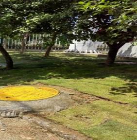 一張含有 戶外, 樹狀, 草, 地面 的圖片

AI 產生的內容可能不正確。